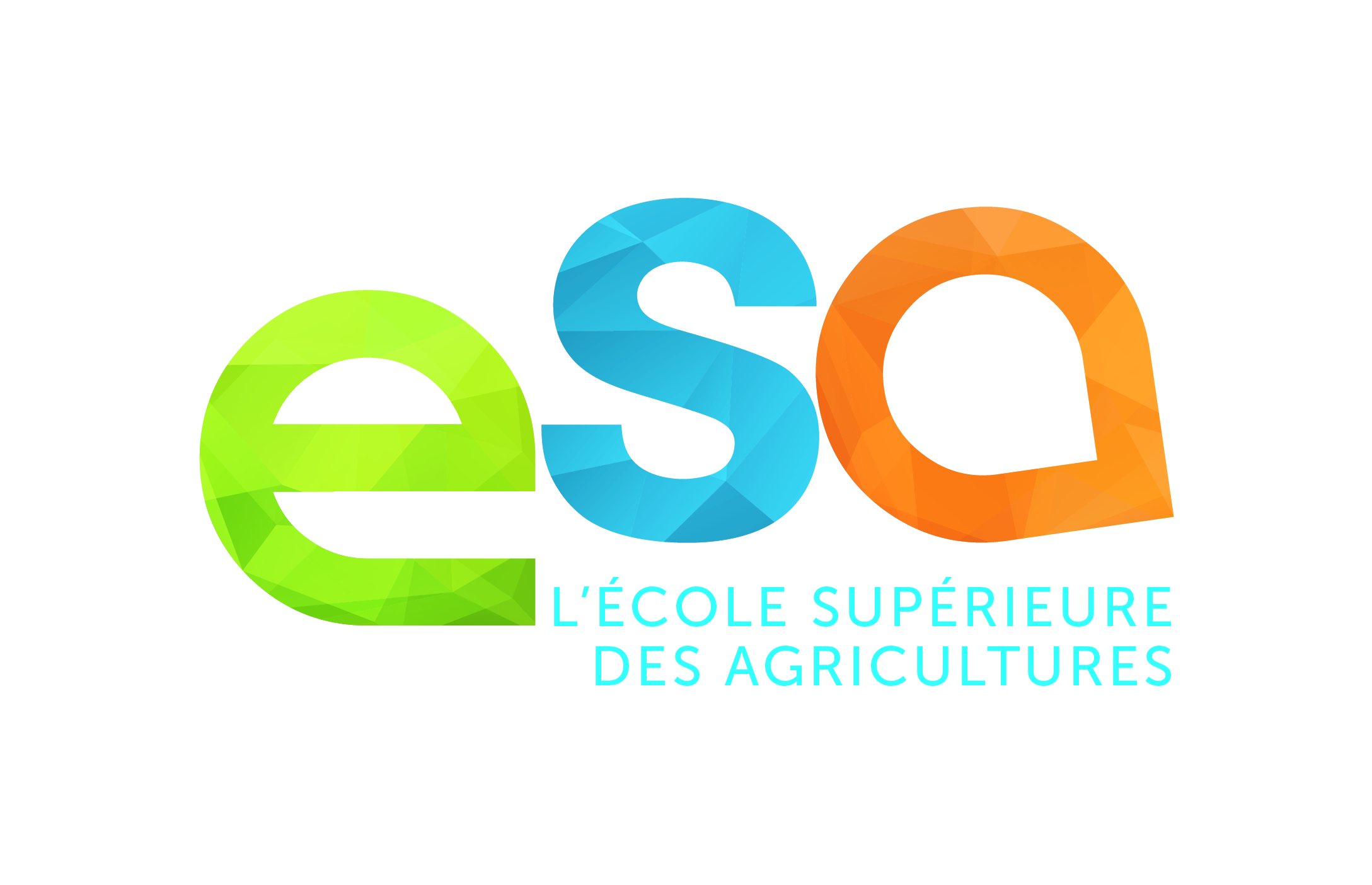 ESA – Etude commanditée M1 : Production