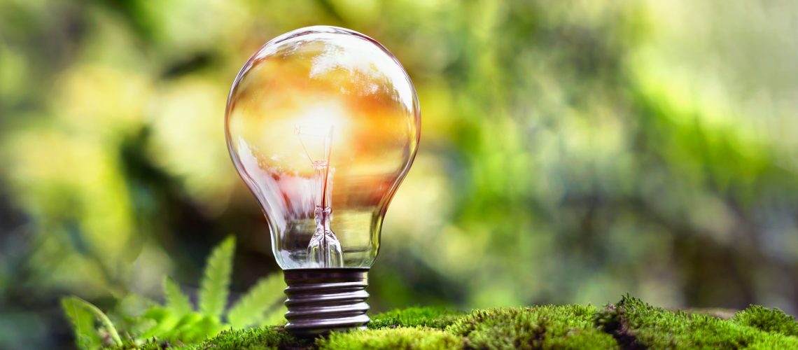 light bulb on green grass and sunlight in nature. concept of energy saving